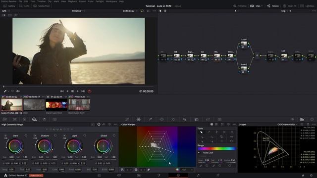 Using LUTs With Resolve Color Management || Davinci Resolve 17 Tutorial смотреть онлайн