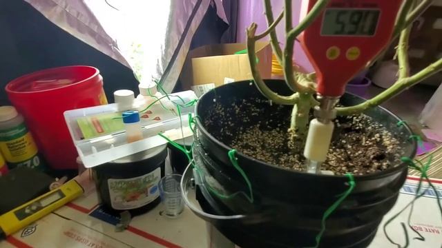 Soil ph v.s. runoff ph смотреть онлайн