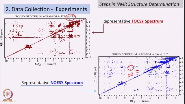 Lecture 56: Structure Determination of Peptides by NMR- I смотреть онлайн