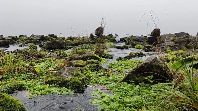 Нова Каховка – місто тисячі джерел смотреть онлайн