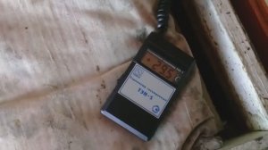 Крещенский расплод или ошибка