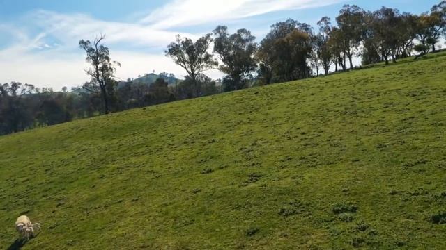 ‘Gilbert’s Rest Subdivision’, Binalong, NSW смотреть онлайн
