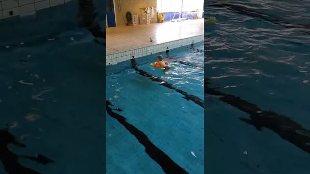 Бассейн Стокгольм смотреть онлайн