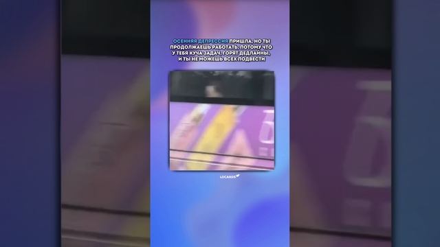 LOCARDS 🚀 смотреть онлайн