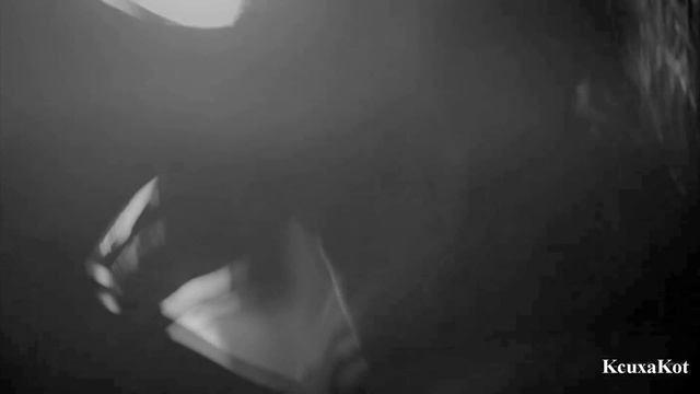 Damon & Elena - Кислород