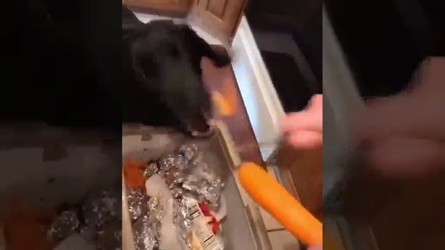 мммм, морковка