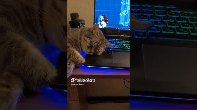 Чуть не дошёл до конца курса 😁 #shorts смотреть онлайн