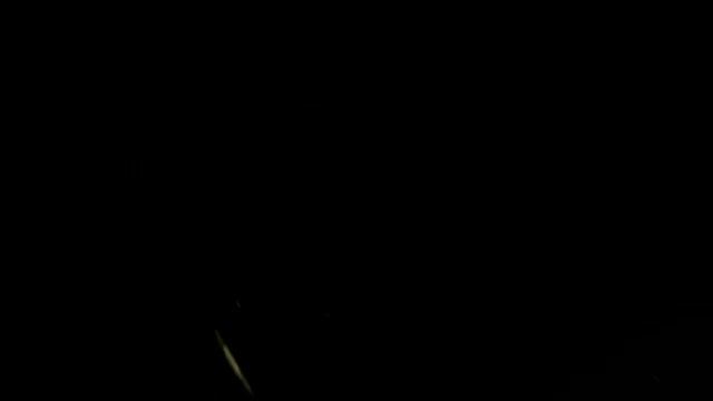 Вываживать такого удовольствие Рыбалка с ночевкой в Астрахани Ловля сазана на жмых и сома на лягушку смотреть онлайн