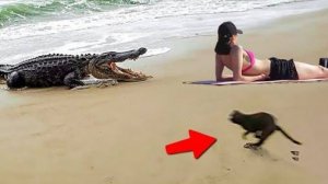 Невозможно было поверить что животное спасет человека