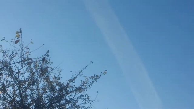 26 октября 2021 г.(1) смотреть онлайн