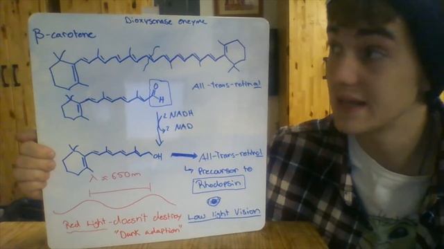 Organic Chemistry Molecule video смотреть онлайн
