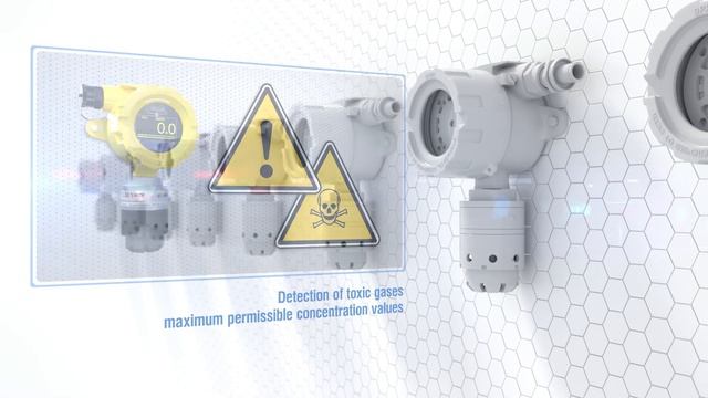 Gas Detector DGS ERIS-210, Gas Detector DGS ERIS-230