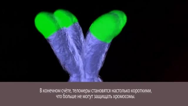 Как омолаживает FINITI от Jeunesse смотреть онлайн