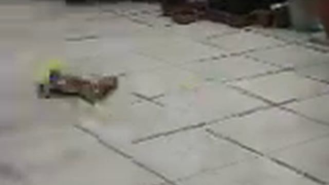 GV RHINO RUNNING ON GRASS PART 2 смотреть онлайн