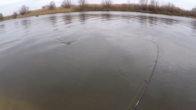 Да тут рыбаков больше чем рыбы Зимняя рыбалка в Астрахани 2021 Ловля судака на джиг смотреть онлайн