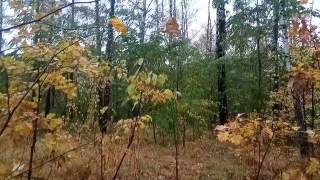 Видишь зайца Нет. А он есть. 😄😄😄👍👍👍😉 смотреть онлайн