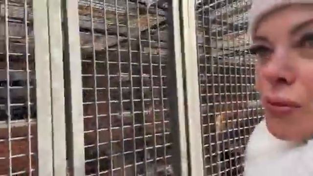 Със сърце и любов за животните ....За вас разказва Меги Дерм🐾 смотреть онлайн