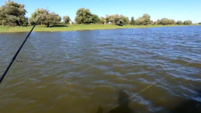 Лучшая насадка на сома На этой утрянке попробовал на все снасти и на всю рыбу Рыбалка в Астрахани смотреть онлайн