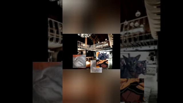 легенда о четырёх орудий богов 1ч. смотреть онлайн