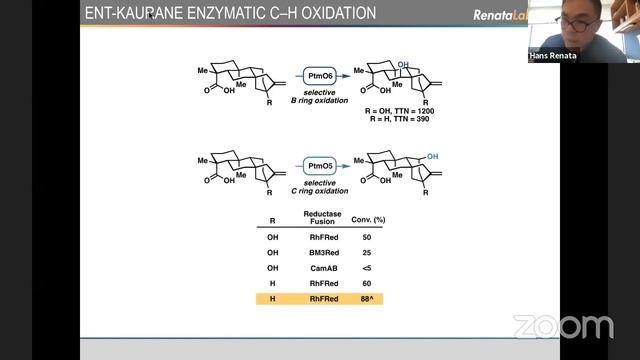 CCHF VS 17.2 - Prof. Hans Renata смотреть онлайн