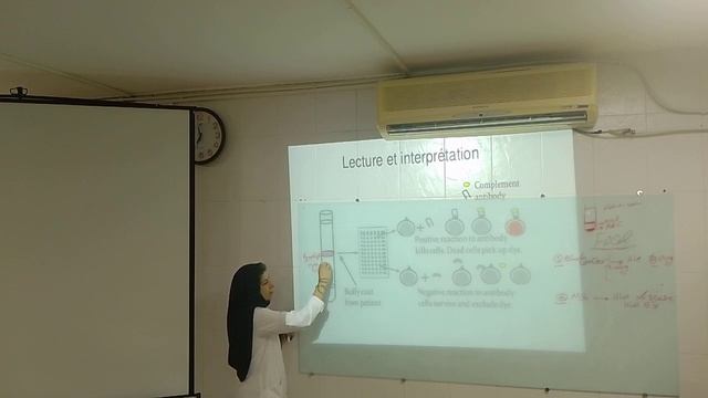 HLA practical for Exam смотреть онлайн