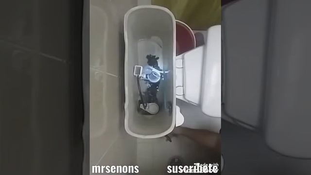 sapo ahorrador en sanitario wc смотреть онлайн