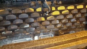 Установка сетки в бампер Hyundai Staria