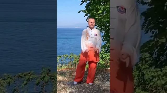 113 причина заняться оздоровительным цигун уже сегодня. #short #цигунонлайн смотреть онлайн