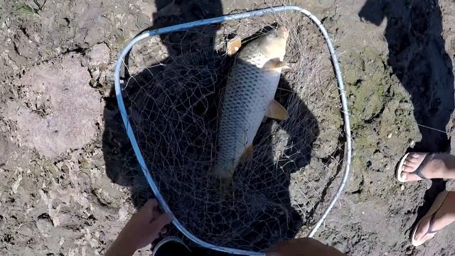 Ловля сазана в обмелевшей Ахтубе Рыбалка в Астрахани на жмых Готовим уху на костре смотреть онлайн