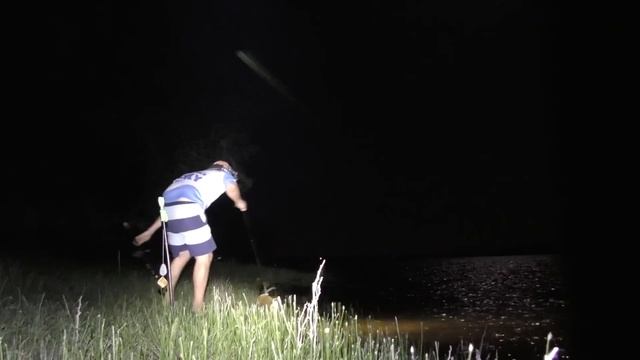 МОШКА ИЮНЬ АХТУБА Рыбалка в Астрахани с ночевкой Ловля сазана на жмых смотреть онлайн