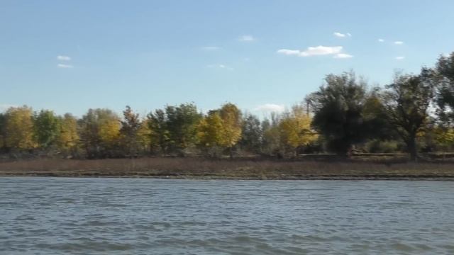 Бешеные щуки и большая поляна грибов Рыбалка и тихая охота в Астрахани смотреть онлайн