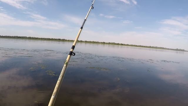 ВЗЯЛ БЛОГЕРА НА РЫБАЛКУ Рыбалка на Бузане Ловля сазана на жмых в Астрахани смотреть онлайн