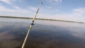 ВЗЯЛ БЛОГЕРА НА РЫБАЛКУ Рыбалка на Бузане Ловля сазана на жмых в Астрахани