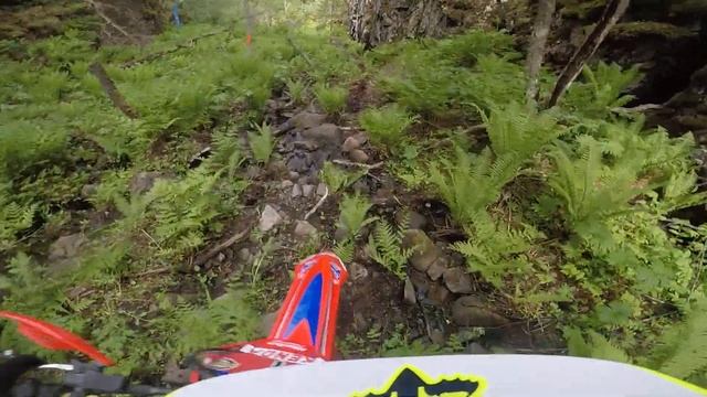 Пролог Шустрая белка 2022 первый этап смотреть онлайн