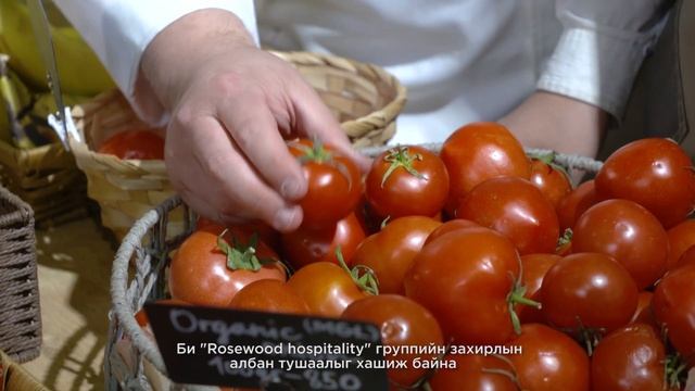 "Гал тогоо" шоуны зочин шүүгч ахлах тогооч Клифф Арранд смотреть онлайн
