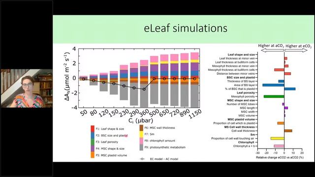 #GARNetPresents Jen Sloan: Climate-ready rice: a photosynthetic approach смотреть онлайн