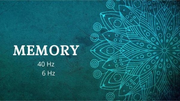 Accelerated Learning | Gamma Waves to focus, study, memory | Binaural Beats