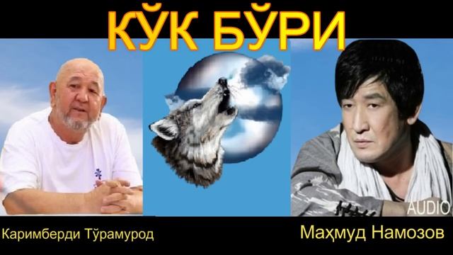 KO'K BO'RI / КЎК БЎРИ