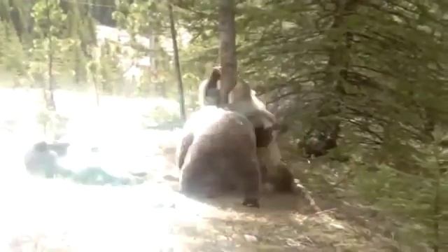 WEBM вечерний — Архивач смотреть онлайн