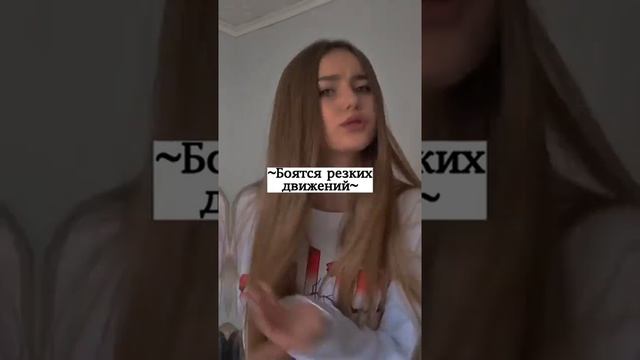 фишки людей со сломанной психикой