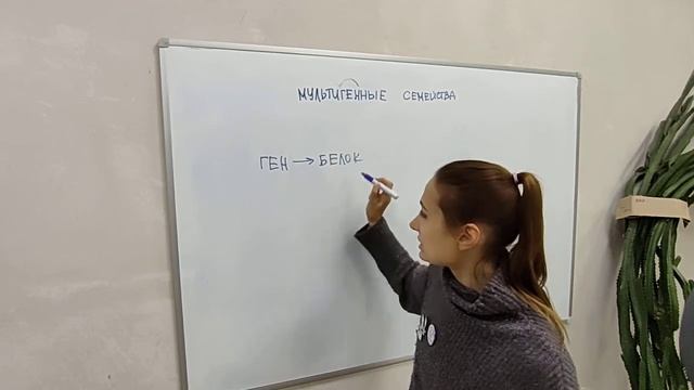 Мультигенные семейства 1