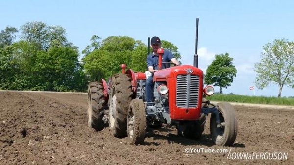 Massey Ferguson 35 'Double Butt' | MF 35 & FE 35 Tandem | MF 1100 & 1200 | Ferguson Days 2016