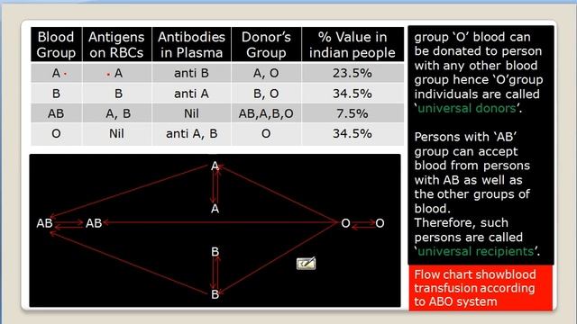 Immunity and Blood Group Part 2 смотреть онлайн