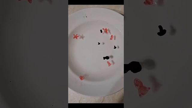Плавающий рисунок _#Домашнийэксперимент смотреть онлайн