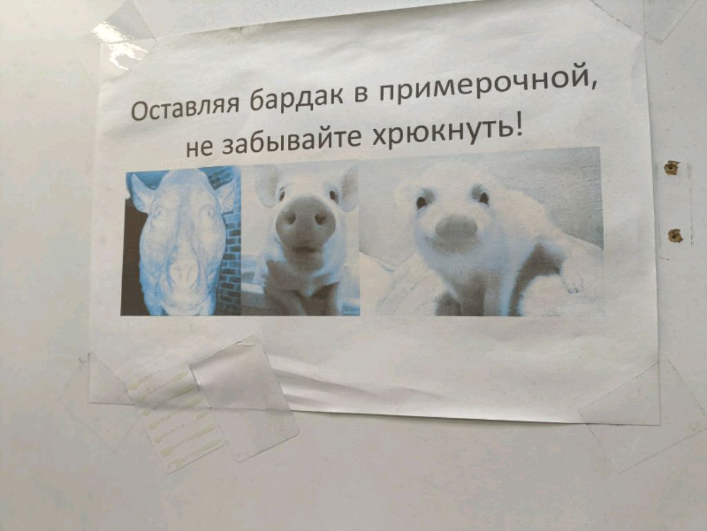 абобус