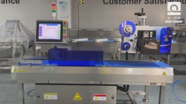 Чеквейер и система Print & Apply