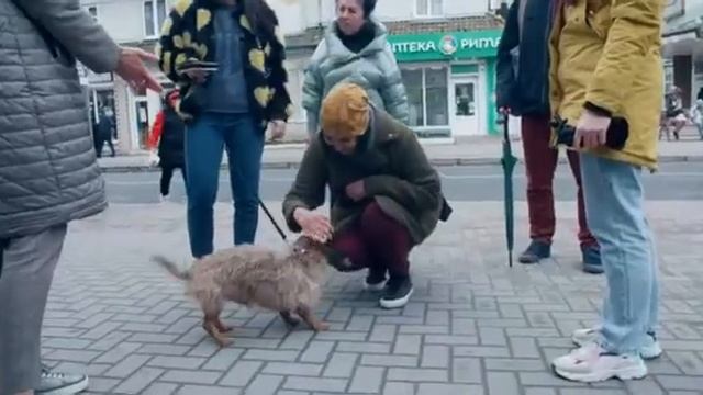 Бизнес с doTERRA смотреть онлайн