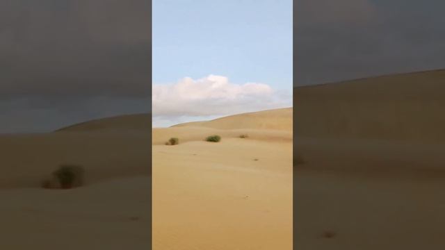 Sunset 🌇 desert 🏝️ #sunset #desert #thar #sunsetviews смотреть онлайн
