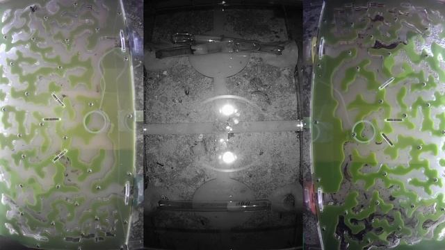 [VIDEO x16] Ant farm [NIGHT-22] Муравьиная ферма [онлайн/online] Муравьи Ants смотреть онлайн