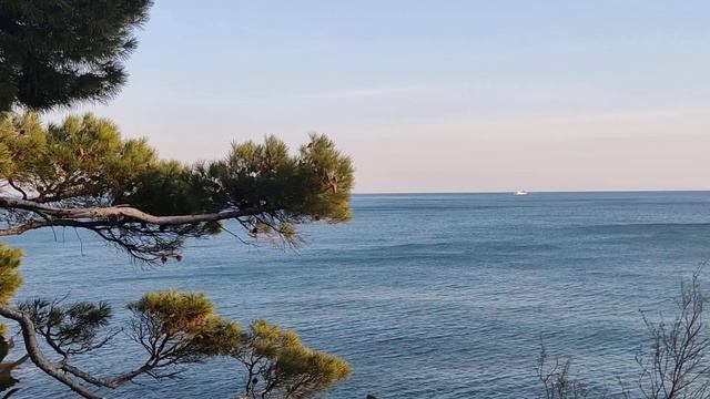 Волны, волны, волны))) смотреть онлайн